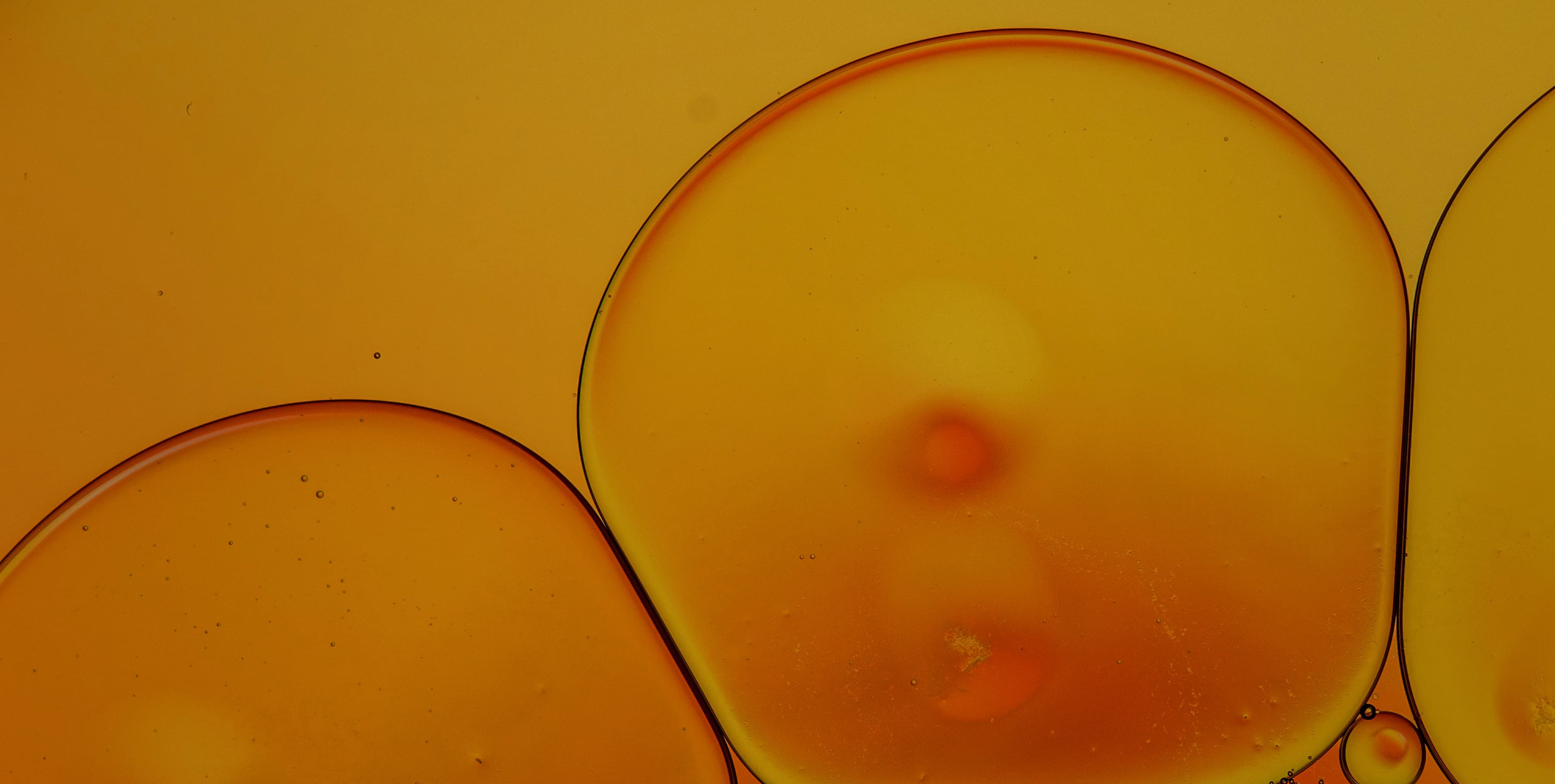 Timeless onboarding background